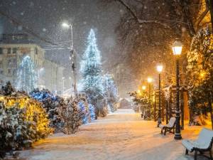 Iluminatul ornamental din Suceava în iarna 2021 - 2022 2