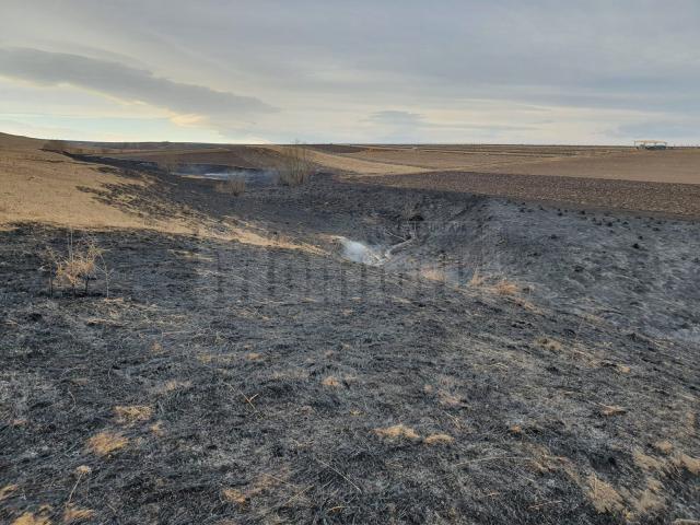 Incendiul de miriște izbucnit joi în satul Mihăiești, comuna Horodniceni, care s-a extins pe aproximativ 5 hectare