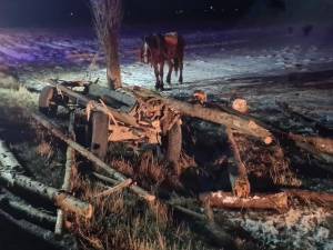 Căruța implicată în accident