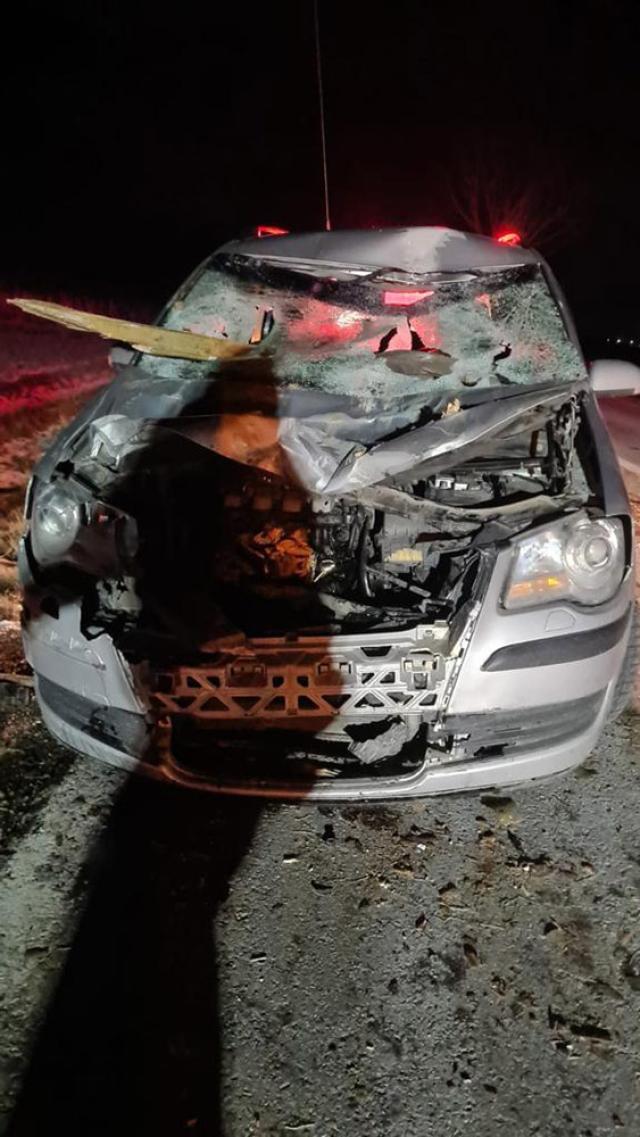 Mașina, distrusă în urma impactului cu atelajul şi lemnele