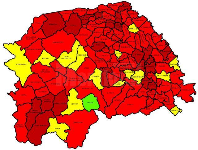 Incidența cazurilor