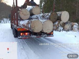 Mașina de mare tonaj încărcată cu lemne a fost însoțită la sediul Cantonului Silvic Hașca