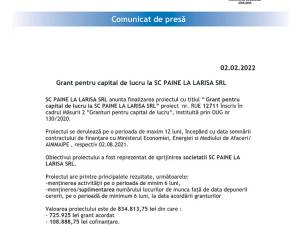 Grant pentru capital de lucru la SC PAINE LA LARISA SRL