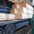 Camion de peste 35.000 de euro, încărcat cu cherestea de rășinoase, confiscat de Garda Forestieră Suceava