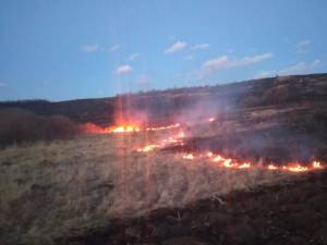 Cinci incendii de vegetație au cuprins peste 100 de hectare de teren