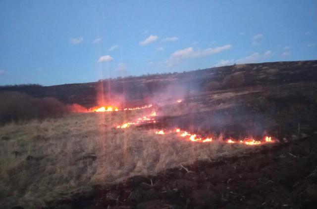 Cinci incendii de vegetație au cuprins peste 100 de hectare de teren