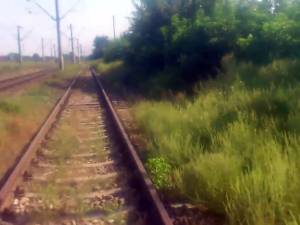 Ambrozie la marginea căii ferate