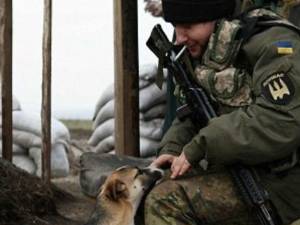 Ajutor și pentru adăpostirea animalelor care sunt aduse din Ucraina