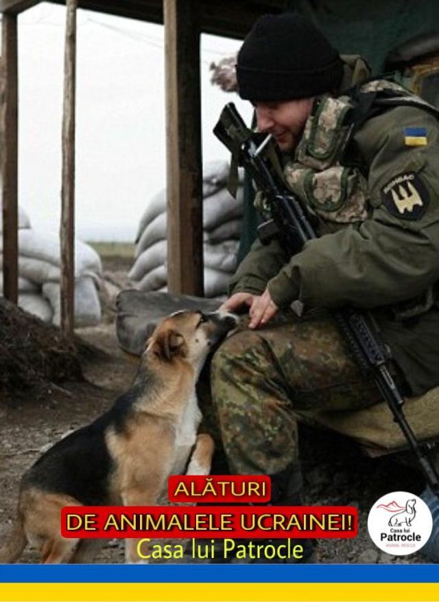 Ajutor și pentru adăpostirea animalelor care sunt aduse din Ucraina