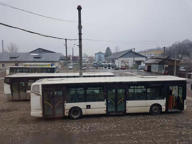 Nouă autobuze de la TPL, puse să transporte refugiații de la Vama Siret la Aeroportul Suceava