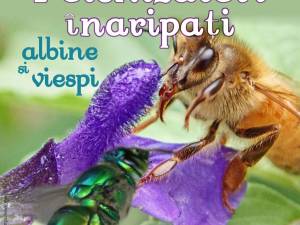 Lecția de muzeu – Polenizatori înaripați – albine și viespi, la Muzeul de Științele Naturii