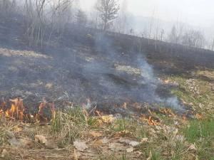 Amenzi de peste 12.000 de lei pentru cei care au provocat intenționat incendii de vegetație