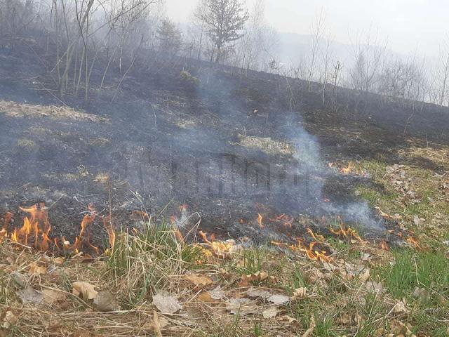 Amenzi de peste 12.000 de lei pentru cei care au provocat intenționat incendii de vegetație