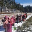 Preșcolarii de la Grădinița „Istețel” Moldovița au participat la o activitate dedicată Lunii Pădurii