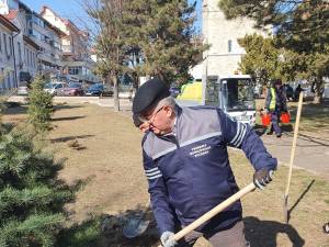Primarul Sucevei, Ion Lungu, care a participat la debutul campaniei de plantare de primăvară