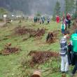 Direcția Silvică Suceava a dat startul împăduririlor de primăvară, de Ziua Internațională a Pădurilor