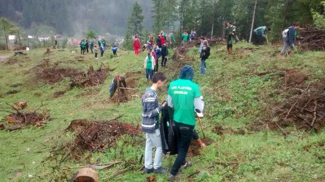 Direcția Silvică Suceava a dat startul împăduririlor de primăvară, de Ziua Internațională a Pădurilor