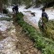 Direcția Silvică Suceava a dat startul împăduririlor de primăvară, de Ziua Internațională a Pădurilor 3