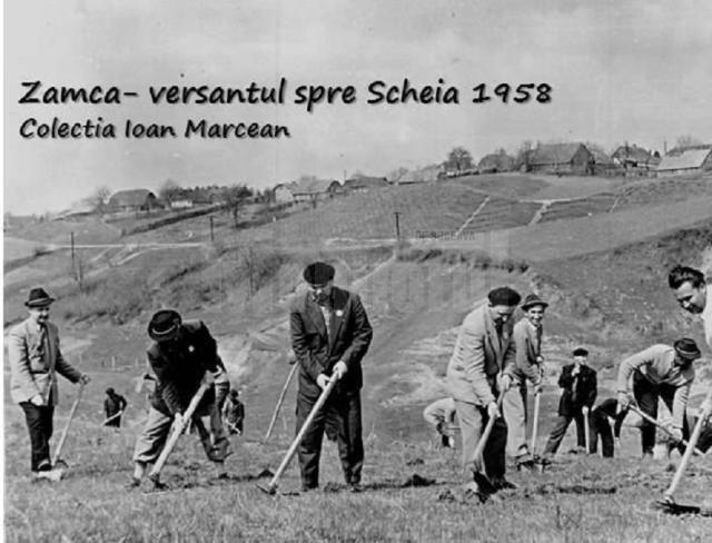 Impadurirea versantului Zamca, înspre Șcheia, în 1958