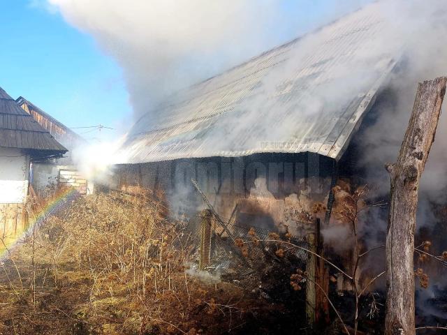 Incendiu de vegetație extins la un adăpost de animale. Pompierii au reușit să salveze casa