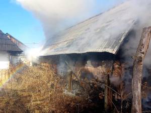 Incendiu de vegetație extins la un adăpost de animale