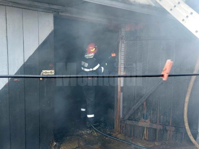 Incendiu de vegetație extins la un adăpost de animale. Pompierii au reușit să salveze casa