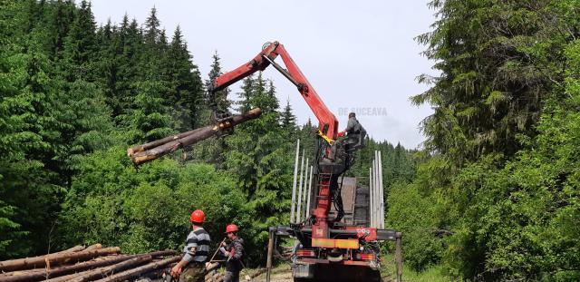 Măsuri propuse pentru sectorul forestier