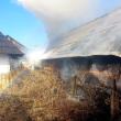 Doi vârstnici care au dat foc vegetației au provocat incendii care au distrus un grajd și o plantație de salcâmi