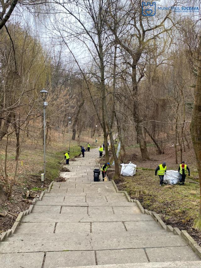 Parcul Șipote și Păduricea Zamca au fost igienizate printr-o acțiune organizată de Primăria Suceava