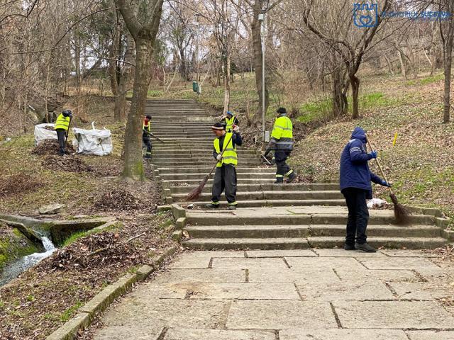 Parcul Șipote și Păduricea Zamca au fost igienizate printr-o acțiune organizată de Primăria Suceava