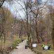 Parcul Șipote și Păduricea Zamca au fost igienizate printr-o acțiune organizată de Primăria Suceava