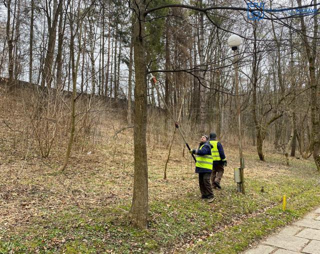 Parcul Șipote și Păduricea Zamca au fost igienizate printr-o acțiune organizată de Primăria Suceava