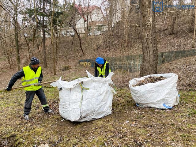 Parcul Șipote și Păduricea Zamca au fost igienizate printr-o acțiune organizată de Primăria Suceava