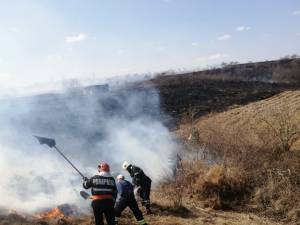 33 de incendii de vegetație în 24 de ore. Au fost afectați peste 10.000 de salcâmi