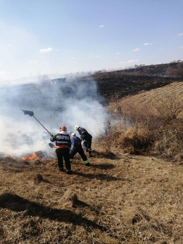 Luni au fost 33 de incendii de vegetație uscată