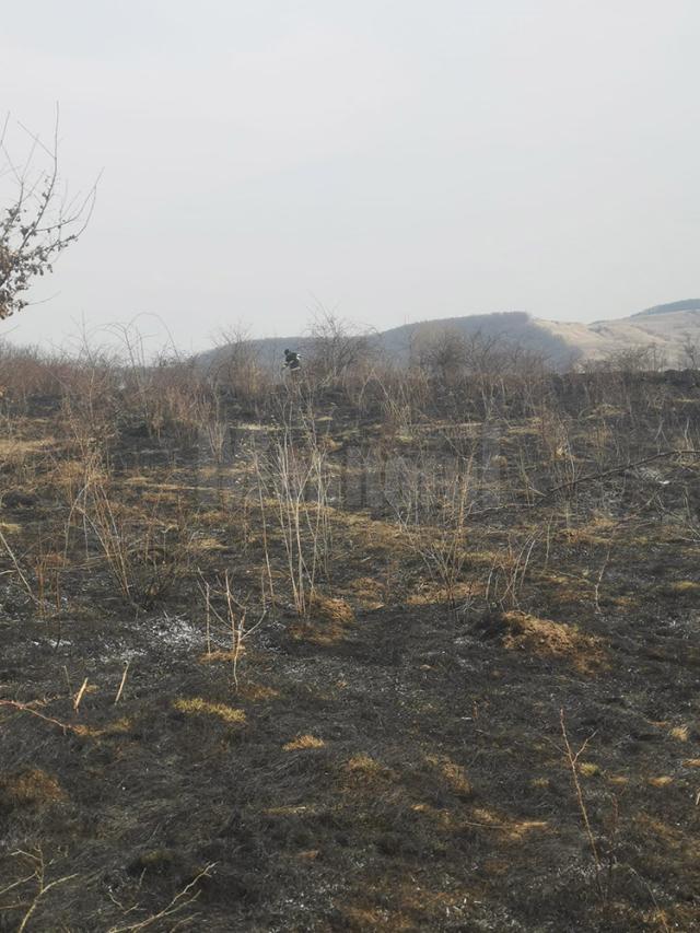 Un incendiu de vegetație s-a extins la o anexă și a pus în pericol o casă