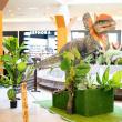 Ultimul weekend în care puteți să vizitați „Lumea Dinozaurilor” de la Iulius Mall Suceava
