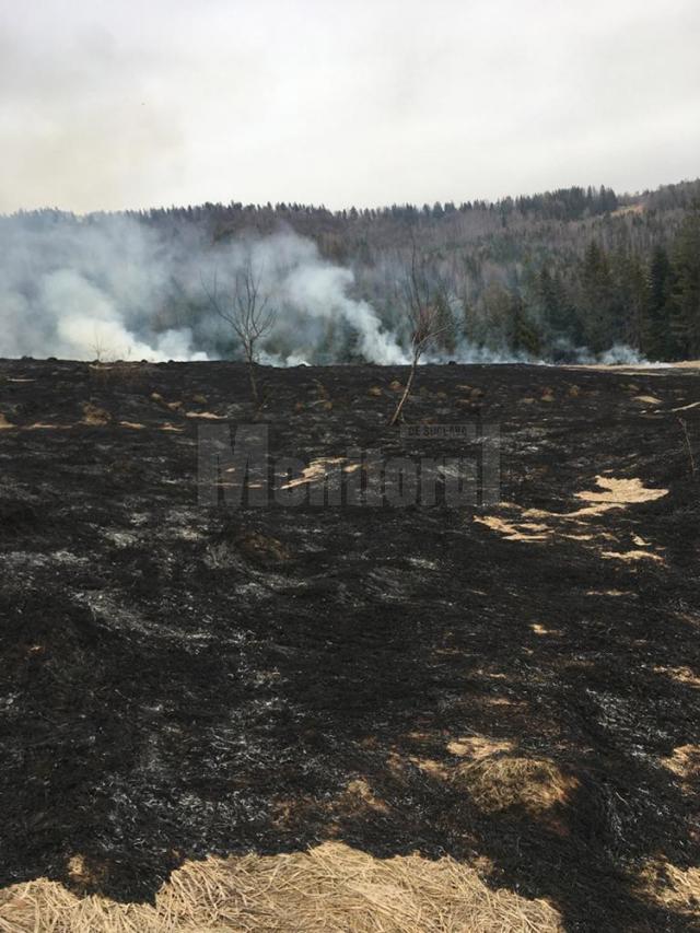 Incendiul de lângă pădure, la Straja