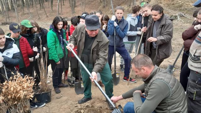 Elevi de la Școala Gimnazială nr. 4 Suceava, voluntari ai proiectului „Salvați pădurea!”