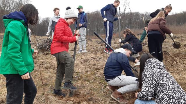 Elevi de la Școala Gimnazială nr. 4 Suceava, voluntari ai proiectului „Salvați pădurea!”