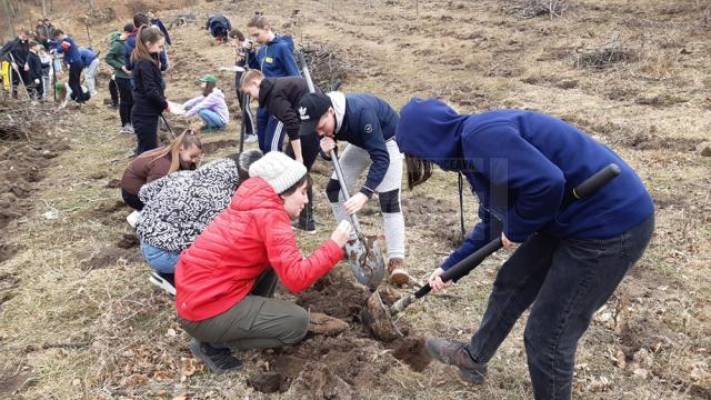 Elevi de la Școala Gimnazială Nr. 4 Suceava, voluntari ai proiectului „Salvați pădurea!”