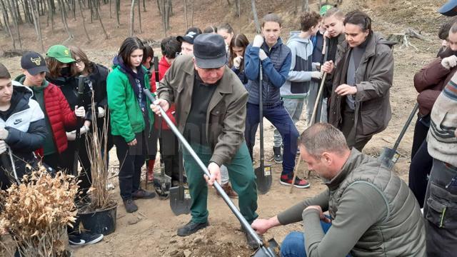 Elevi de la Școala Gimnazială Nr. 4 Suceava, voluntari ai proiectului „Salvați pădurea!”