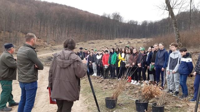 Elevi de la Școala Gimnazială Nr. 4 Suceava, voluntari ai proiectului „Salvați pădurea!”