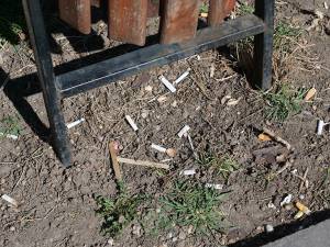 Ucigași mici și tăcuți – mucurile de țigară