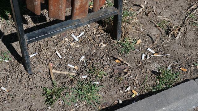 Ucigași mici și tăcuți – mucurile de țigară