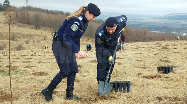 Jandarmii au plantat în curtea unității 172 de stejari, la 172 de ani de existență