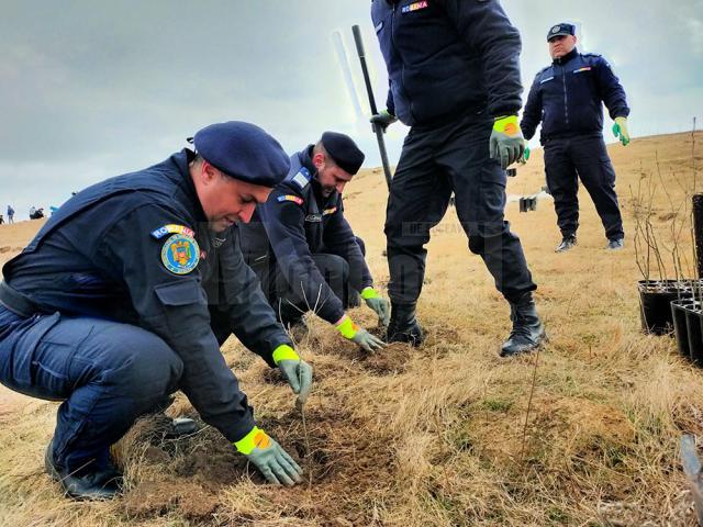 Jandarmii au plantat în curtea unității 172 de stejari, la 172 de ani de existență