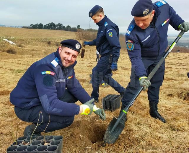 Jandarmii au plantat în curtea unității 172 de stejari, la 172 de ani de existență
