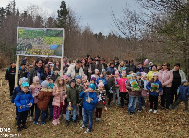 Acțiune de plantare a 3650 de puieți forestieri, cu voluntari, la Ocolul Silvic Marginea