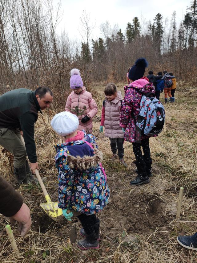 Acțiune de plantare a 3650 de puieți forestieri, cu voluntari, la Ocolul Silvic Marginea